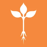 Roots Natural Kitchen Ordering