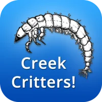 Creek Critters
